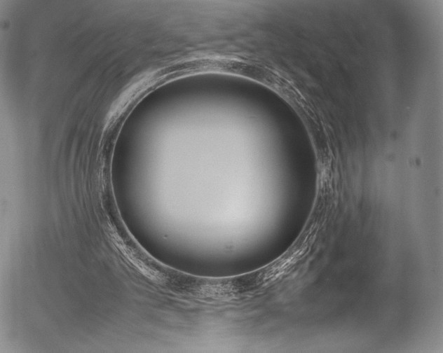 X0000054430101200508011408