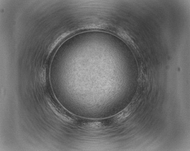 X0000054430108200508011408
