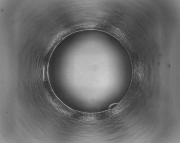 X0000054430110200508011408