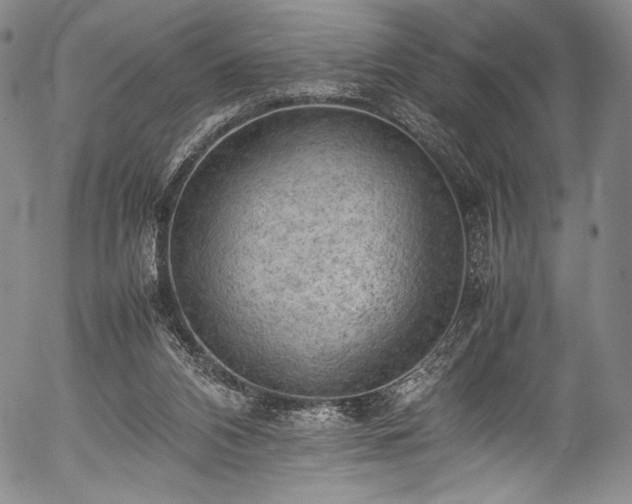 X0000054430112200508011408