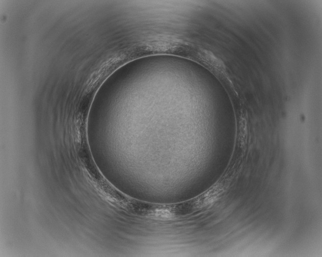 X0000054430114200508011408