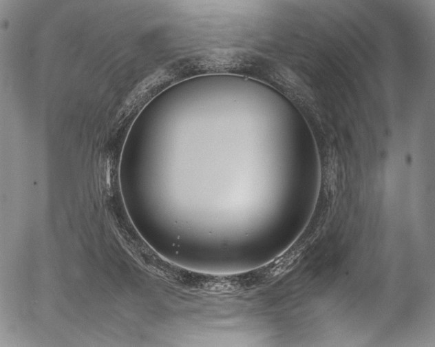 X0000054430115200508011408