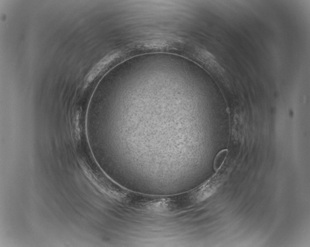 X0000054430116200508011408