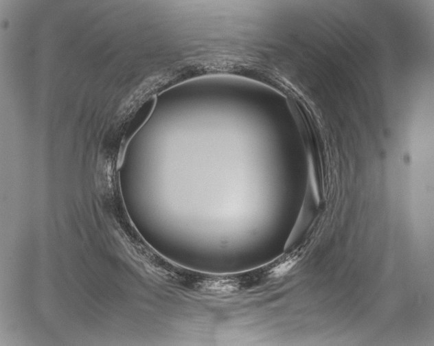 X0000054430117200508011408