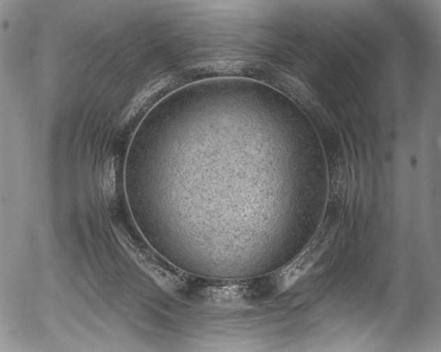 X0000054430120200508011408