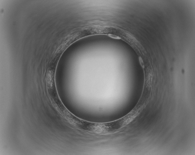 X0000054430121200508011408
