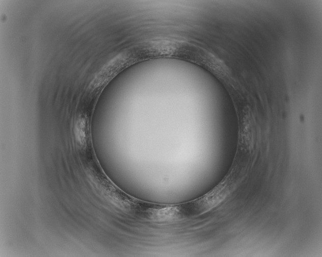 X0000054430122200508011408