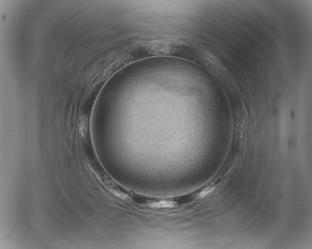 X0000054430125200508011407
