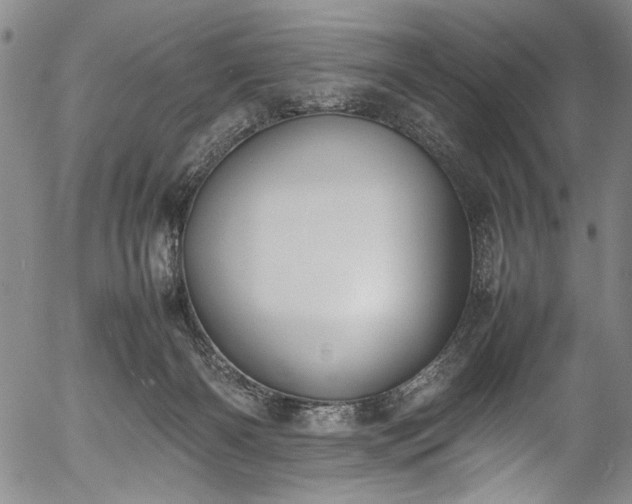 X0000054430126200508011407