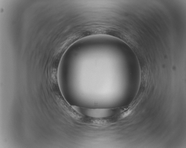 X0000054430141200508011407