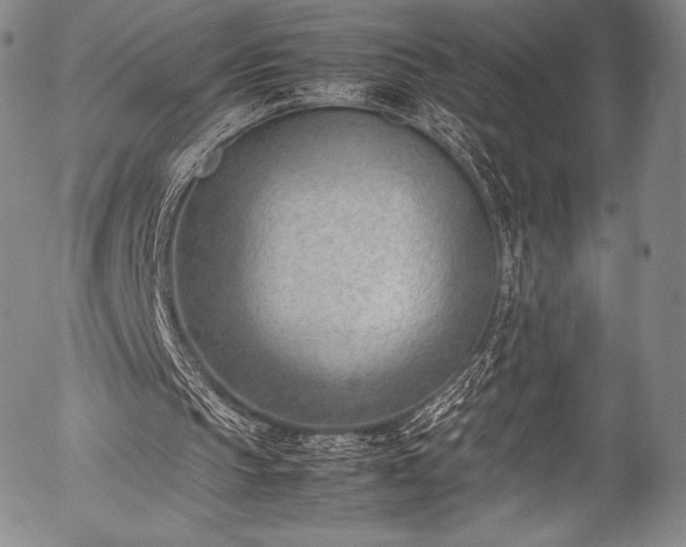 X0000054430145200508011406