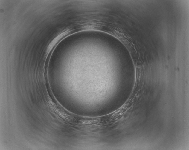 X0000054430147200508011406