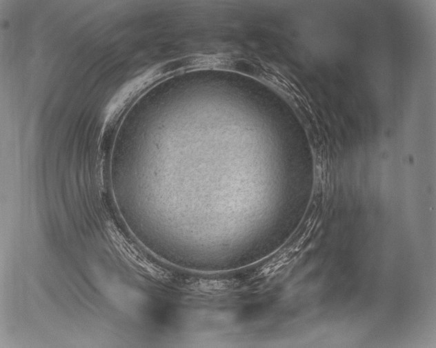 X0000054430149200508011406