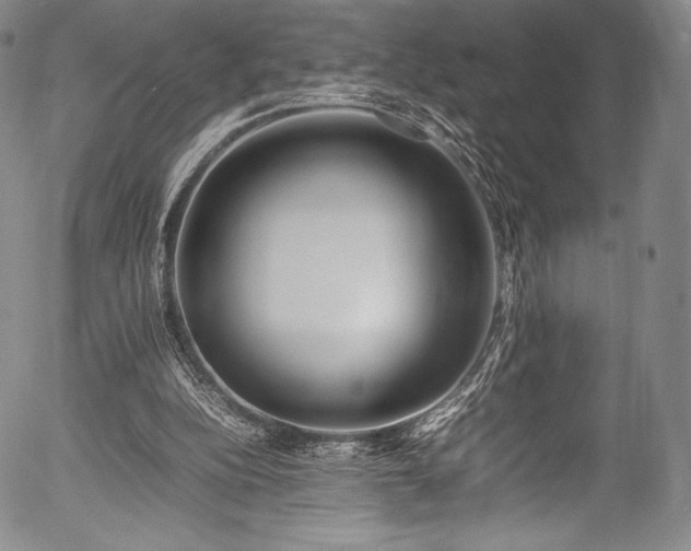 X0000054430152200508011406