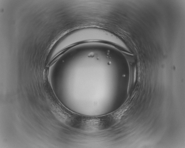 X0000054430156200508011407