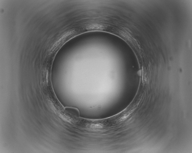 X0000054430157200508011407