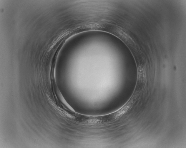 X0000054430158200508011407