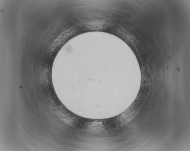 X0000054430162200508011407