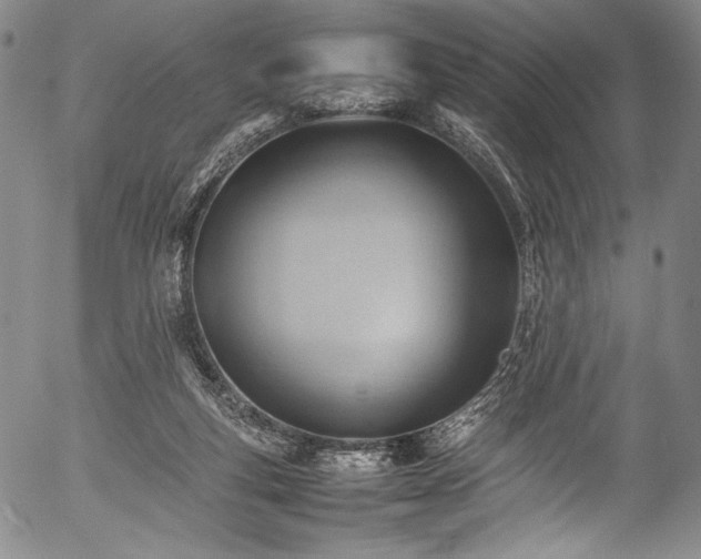 X0000054430163200508011407