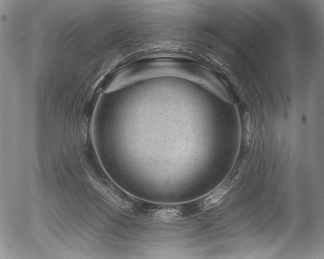 X0000054430168200508011407