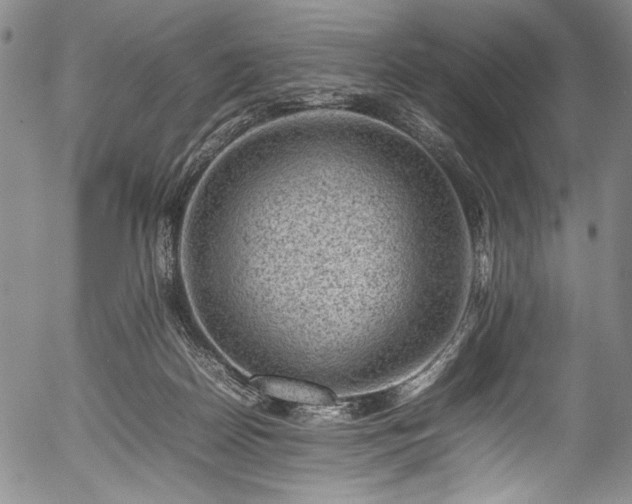 X0000054430170200508011407