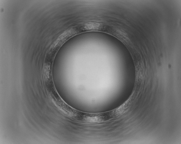 X0000054430171200508011407
