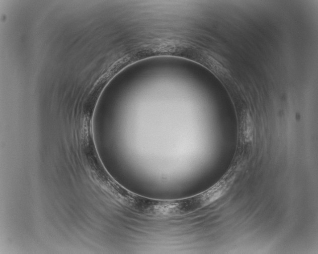X0000054430172200508011407