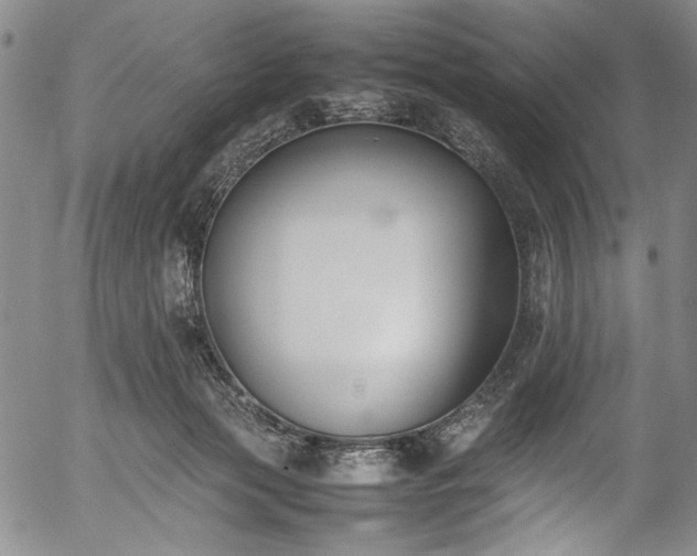 X0000054430173200508011407