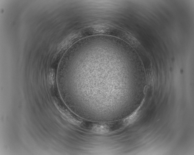 X0000054430174200508011407
