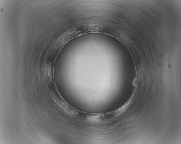 X0000054430178200508011407