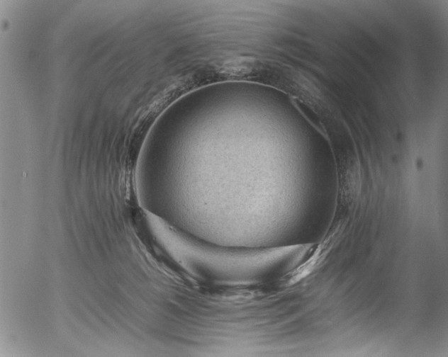 X0000054430180200508011407