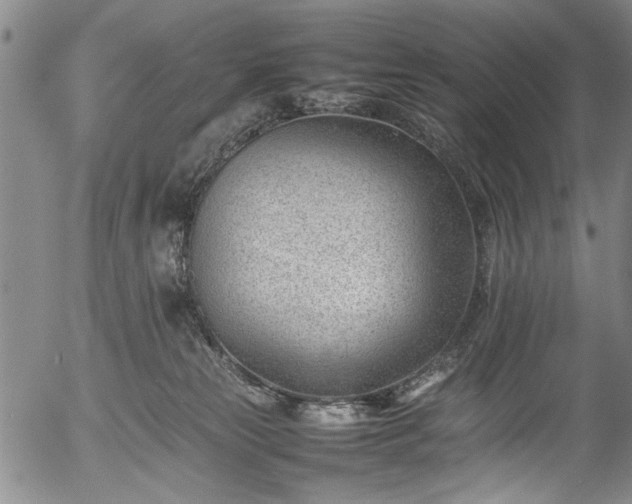 X0000054430181200508011407
