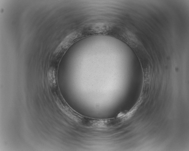 X0000054430182200508011407