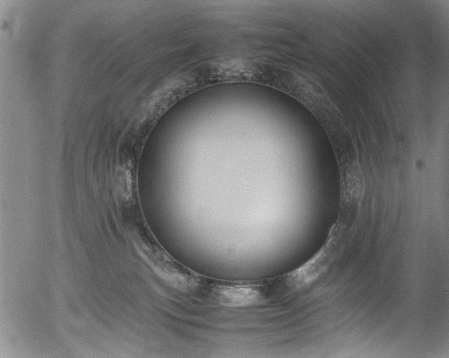 X0000054430183200508011407