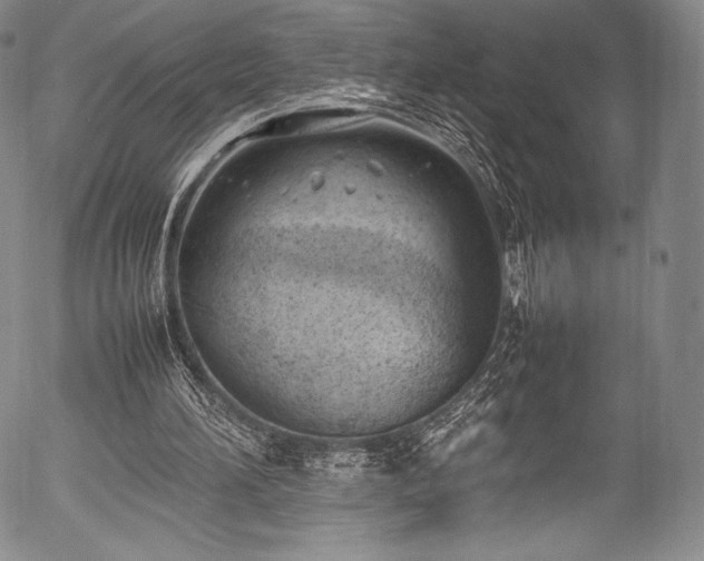 X0000054430196200508011406