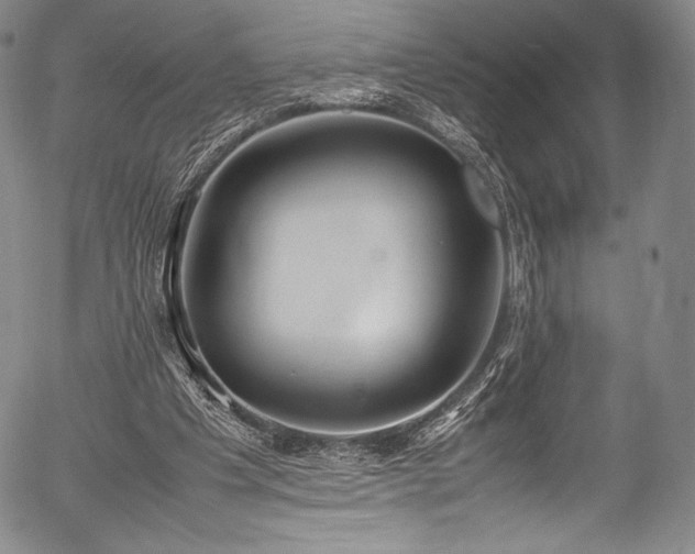 X0000054430201200508011406