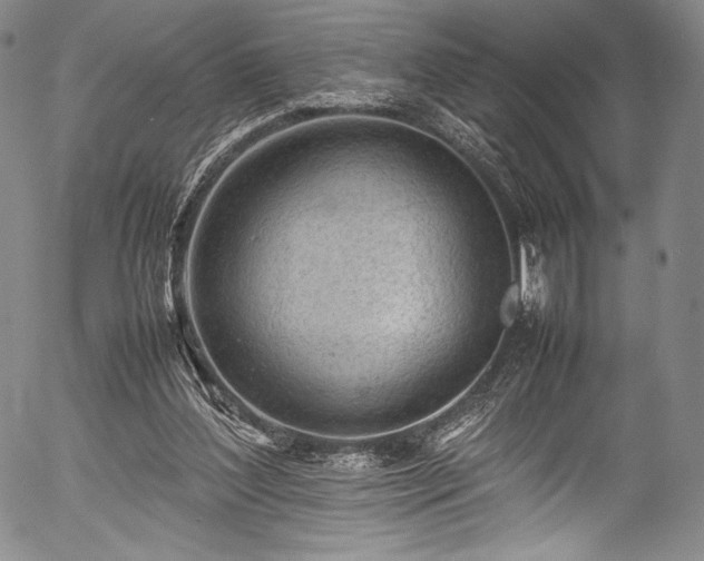 X0000054430204200508011406