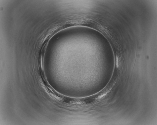 X0000054430205200508011406