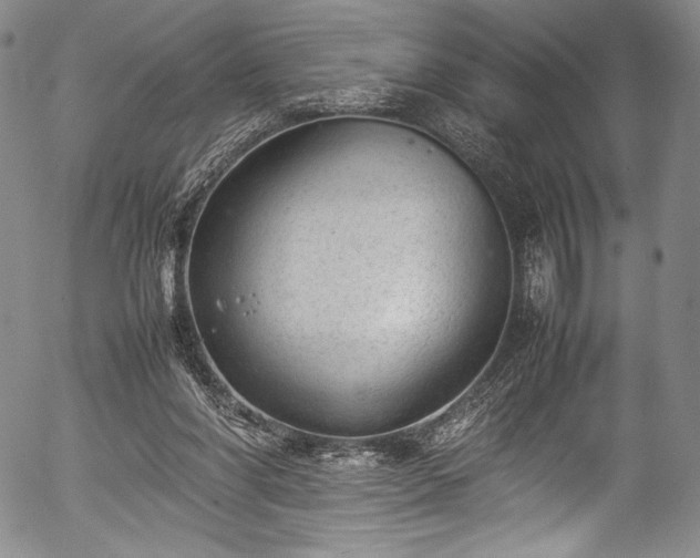 X0000054430206200508011406