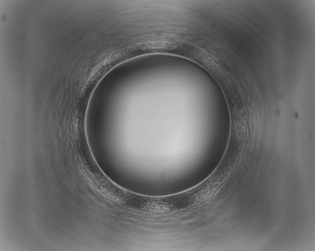 X0000054430207200508011406