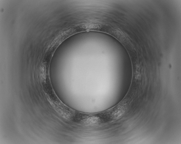 X0000054430210200508011406