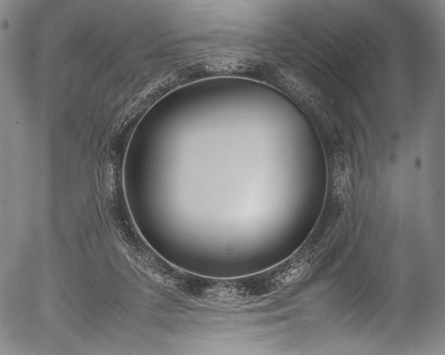 X0000054430211200508011406