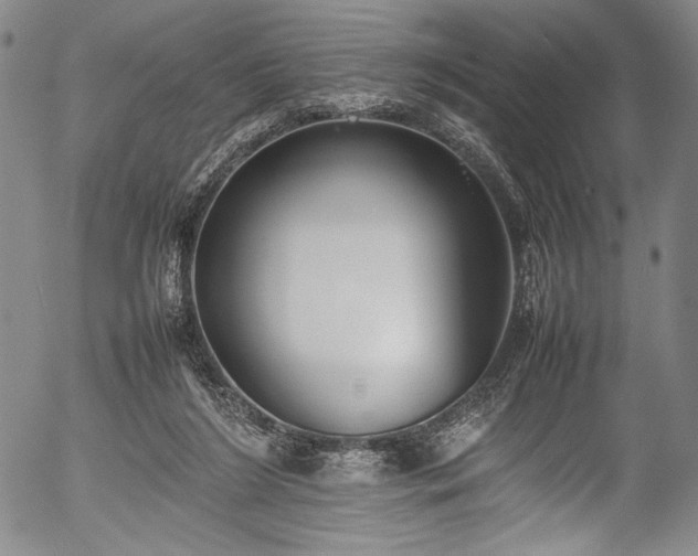 X0000054430212200508011406