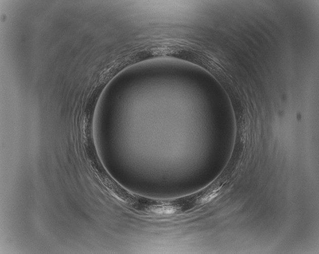X0000054430219200508011406