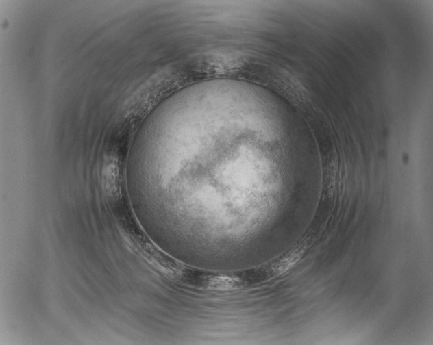 X0000054430222200508011406