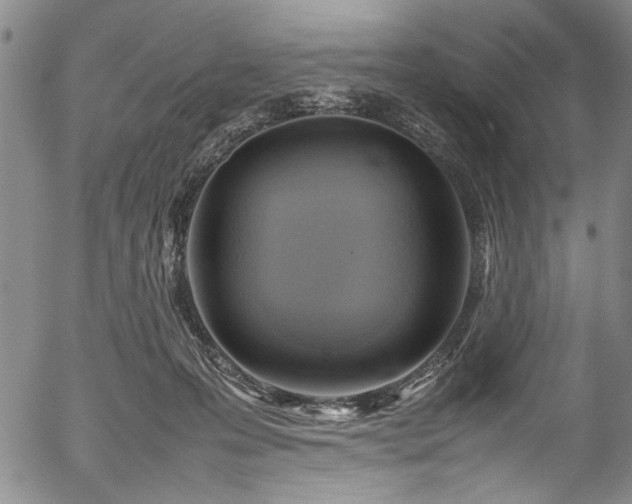 X0000054430223200508011406