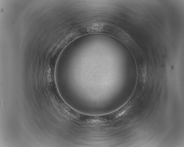 X0000054430224200508011406