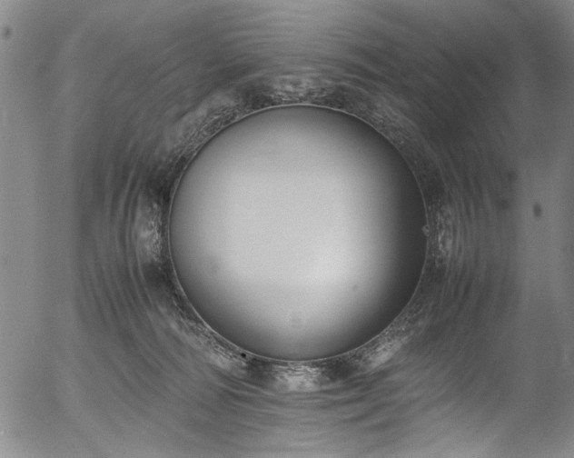 X0000054430226200508011406
