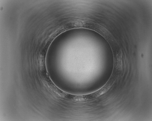 X0000054430228200508011406