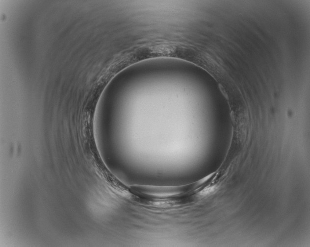 X0000054430229200508011406